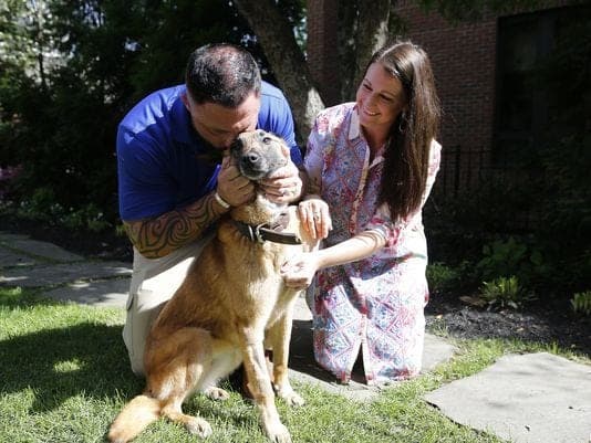 military dog reunites