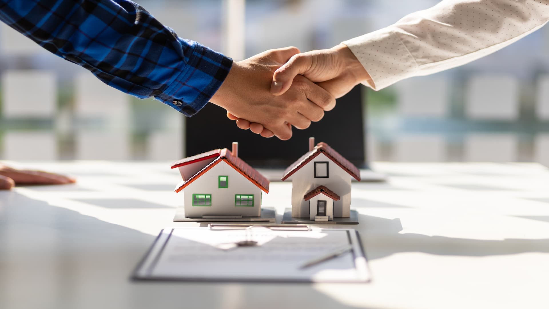 tenants in common