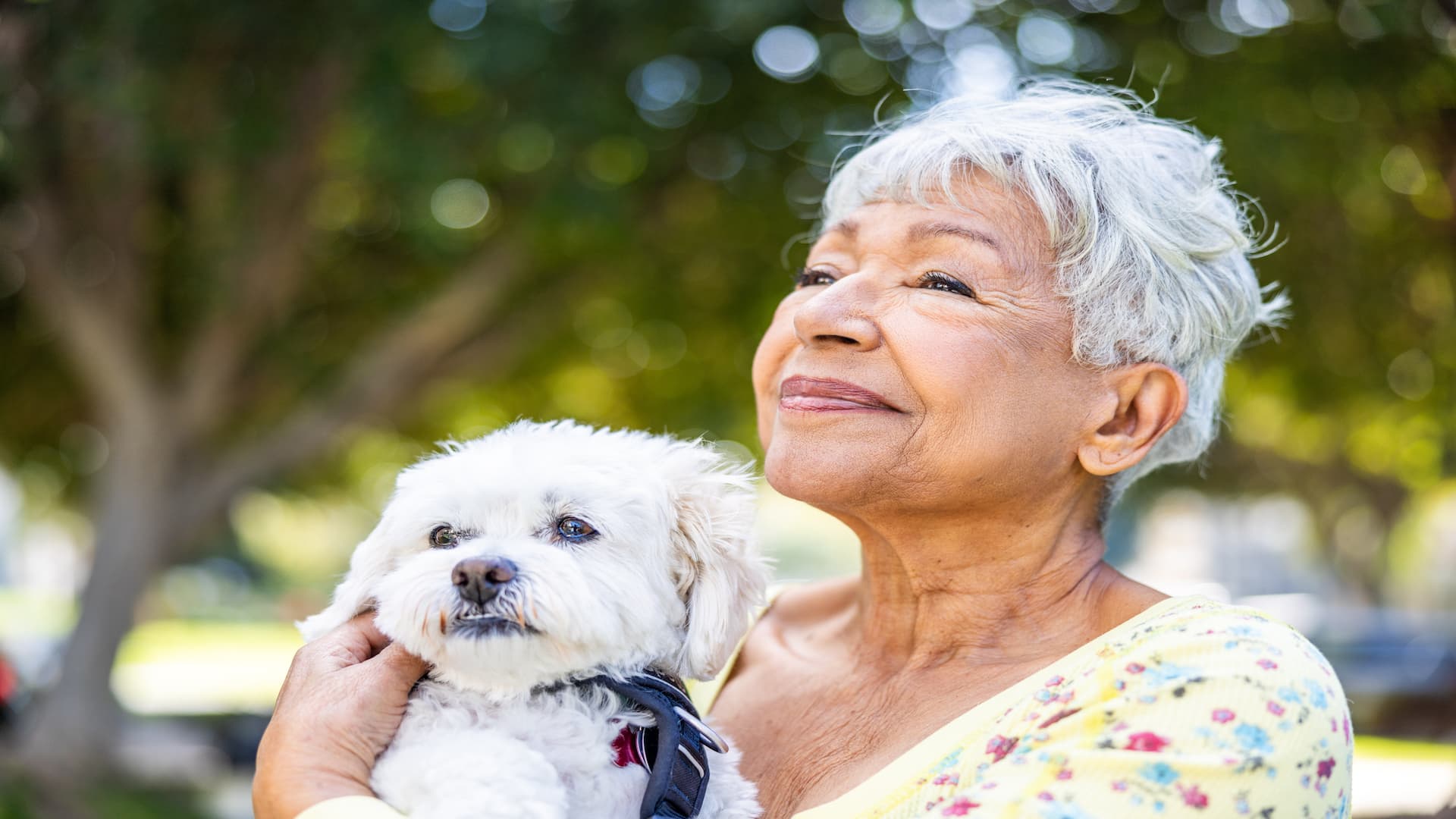 HECM property requirements