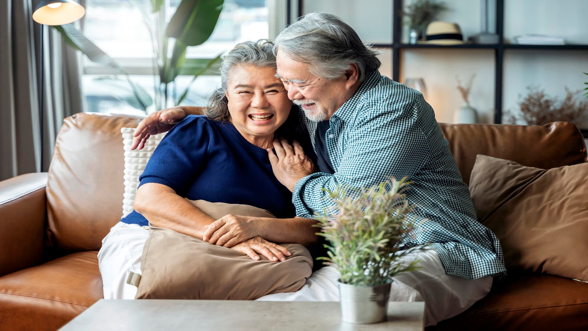 property tax exemption for seniors